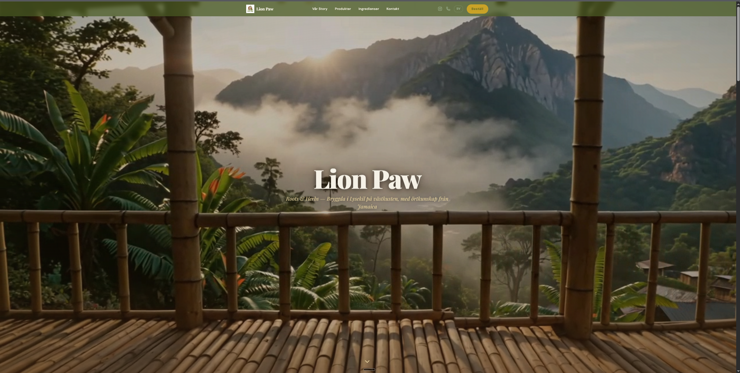 Lionpaw – webbprojekt av Infrakust